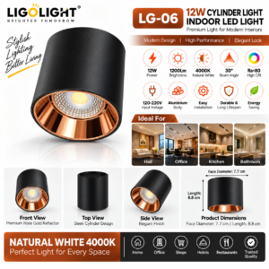 12W Cylinder LED Light Black & Rose Gold