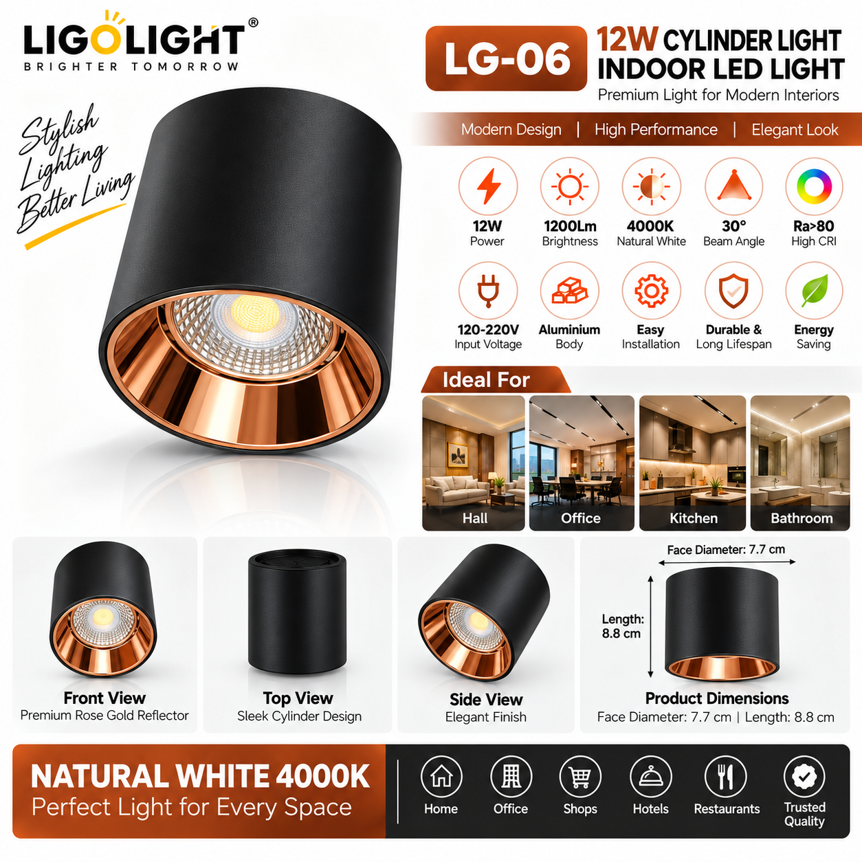12W Cylinder LED Light Black & Rose Gold
