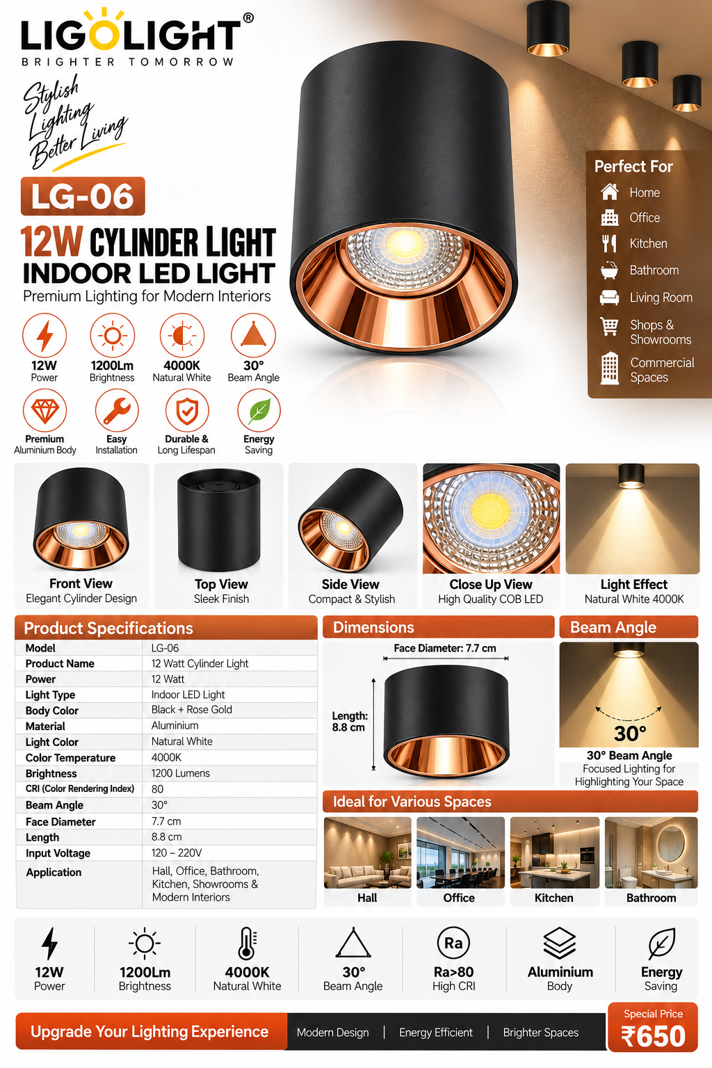 LG-06 12W LED Surface Cylindrical Spotlight | Black & Rose Gold - Image 2