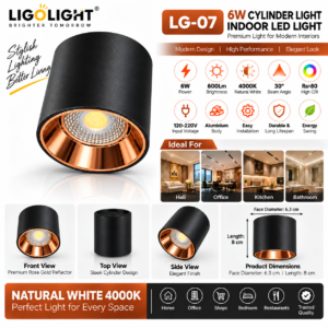 lg-07-6-watt-cylinder-light-black-rose-gold